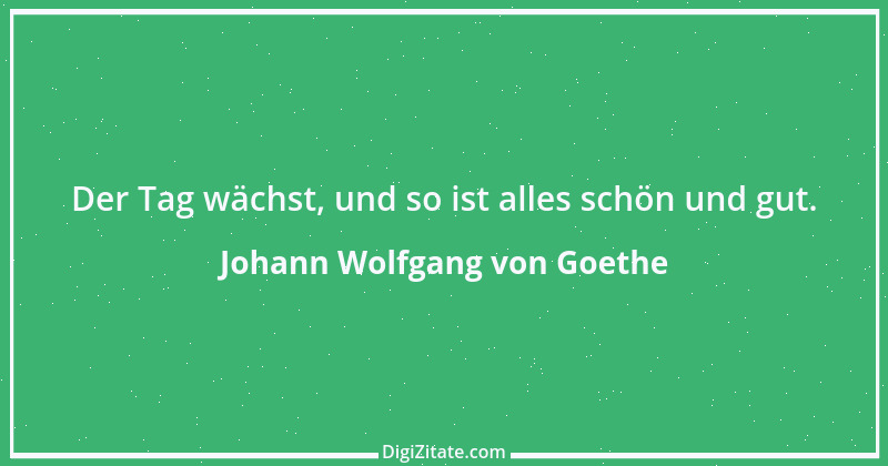 Zitat von Johann Wolfgang von Goethe 1251