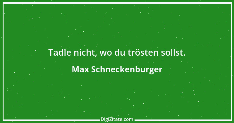 Zitat von Max Schneckenburger 1