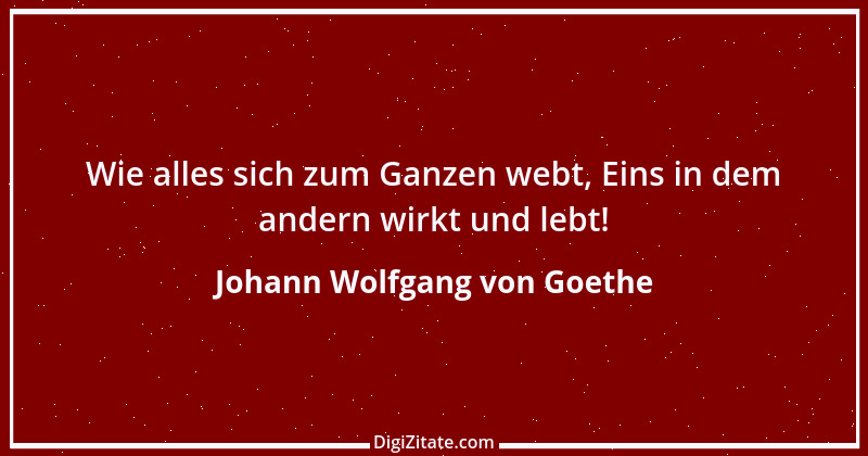 Zitat von Johann Wolfgang von Goethe 253