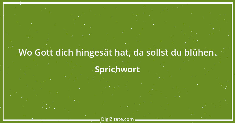 Zitat von Sprichwort 9245