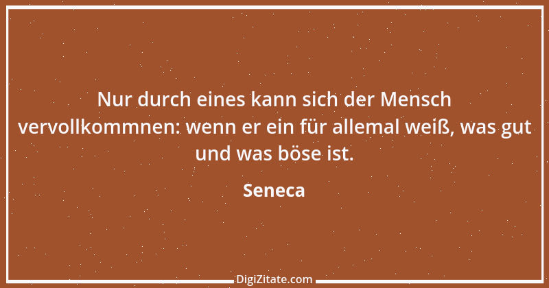 Zitat von Seneca 390