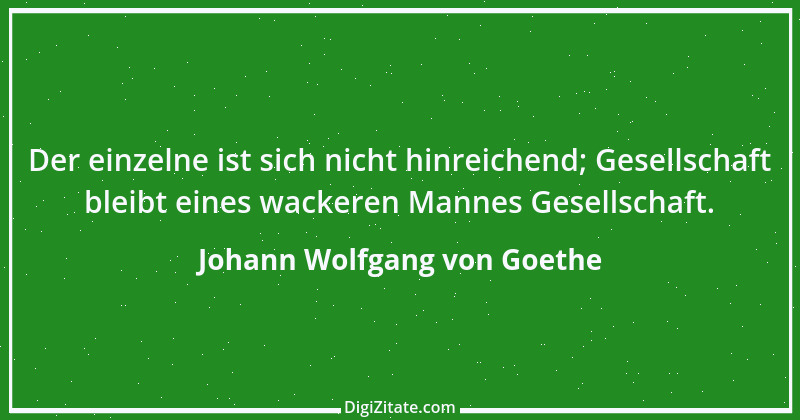 Zitat von Johann Wolfgang von Goethe 3779