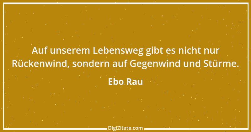 Zitat von Ebo Rau 9