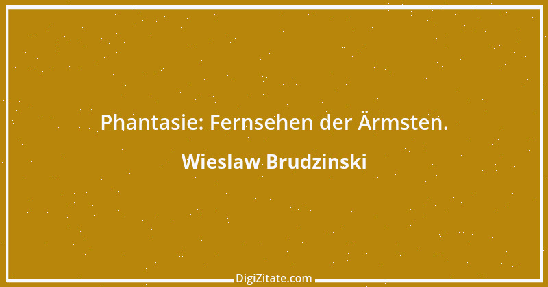 Zitat von Wieslaw Brudzinski 49