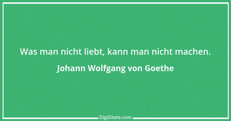 Zitat von Johann Wolfgang von Goethe 257