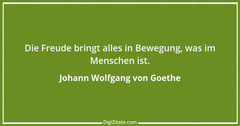 Zitat von Johann Wolfgang von Goethe 3257