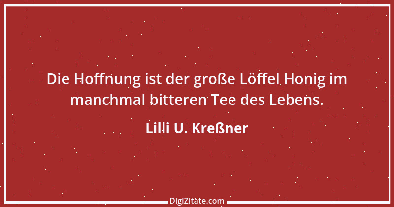 Zitat von Lilli U. Kreßner 45