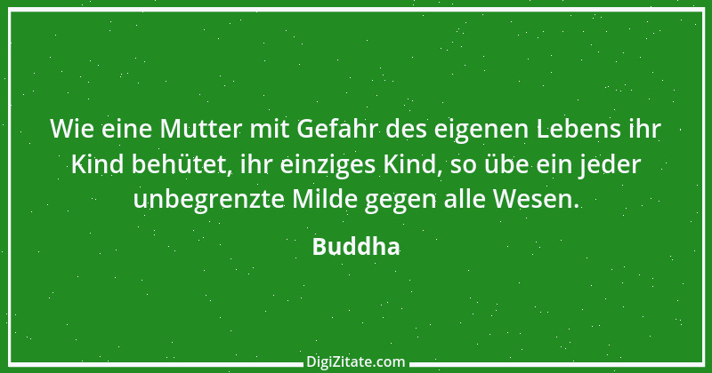 Zitat von Buddha 36