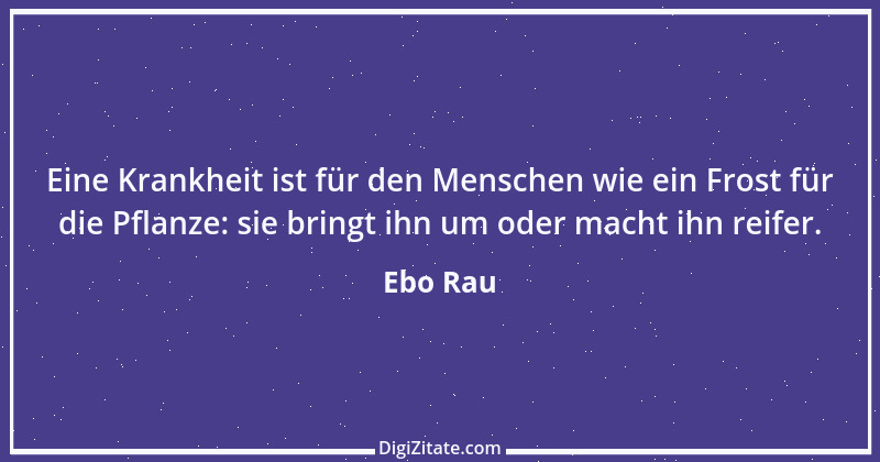 Zitat von Ebo Rau 12