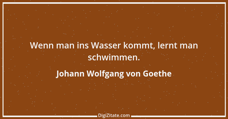 Zitat von Johann Wolfgang von Goethe 259