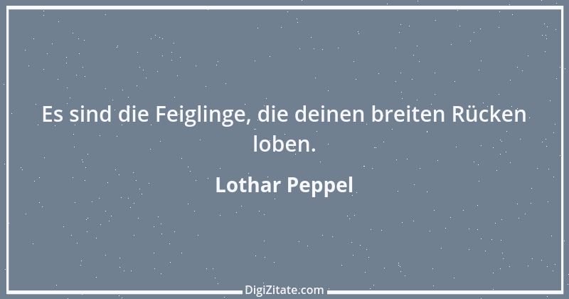 Zitat von Lothar Peppel 46