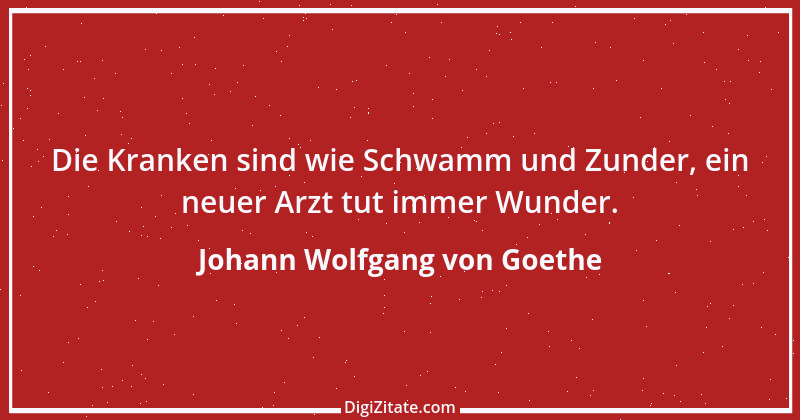 Zitat von Johann Wolfgang von Goethe 1260