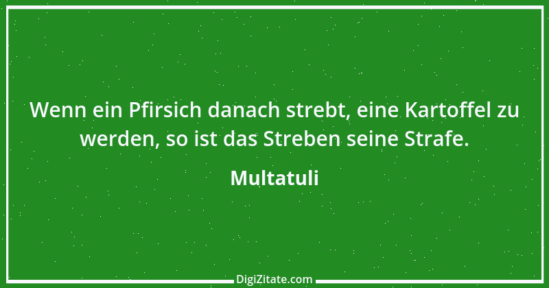 Zitat von Multatuli 47