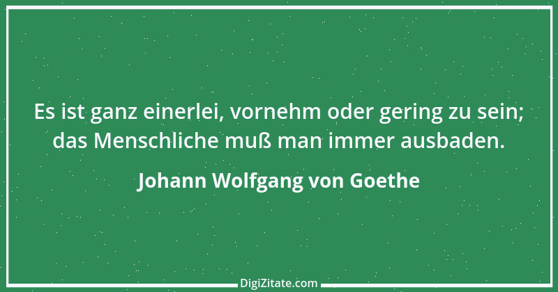 Zitat von Johann Wolfgang von Goethe 3261