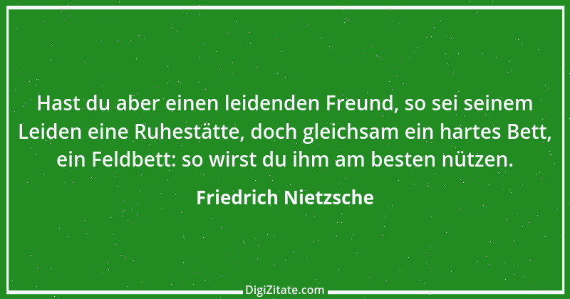 Zitat von Friedrich Nietzsche 1199