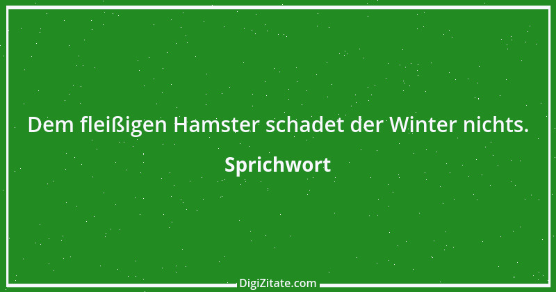 Zitat von Sprichwort 6254