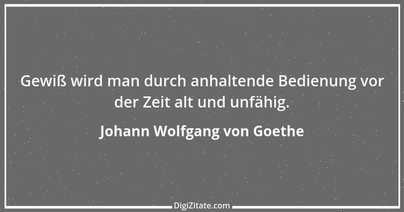 Zitat von Johann Wolfgang von Goethe 263