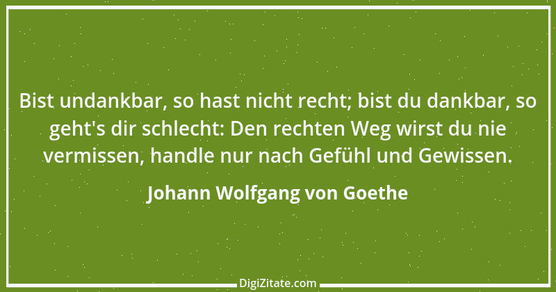 Zitat von Johann Wolfgang von Goethe 3263