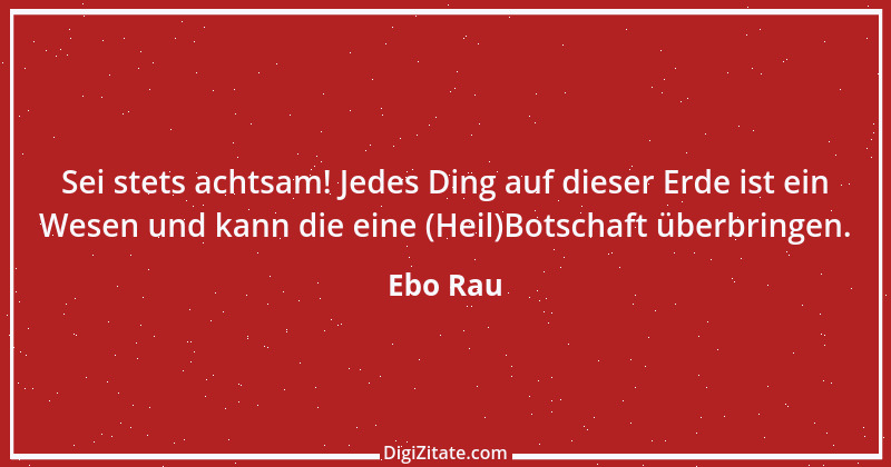 Zitat von Ebo Rau 17