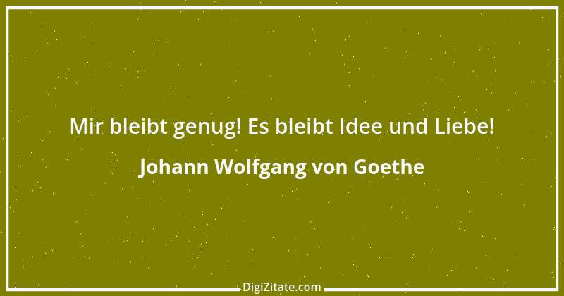 Zitat von Johann Wolfgang von Goethe 264