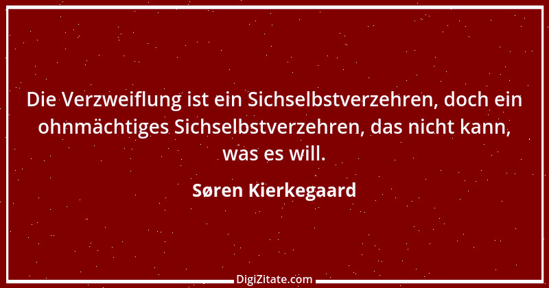 Zitat von Søren Kierkegaard 7