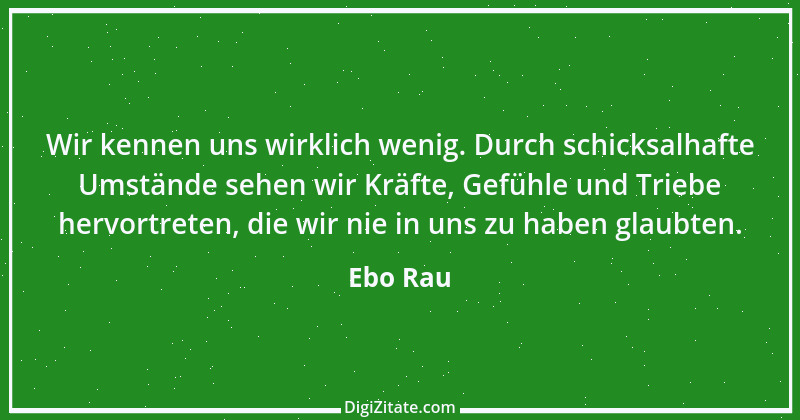 Zitat von Ebo Rau 18