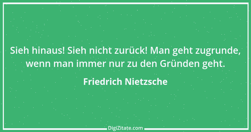 Zitat von Friedrich Nietzsche 1202