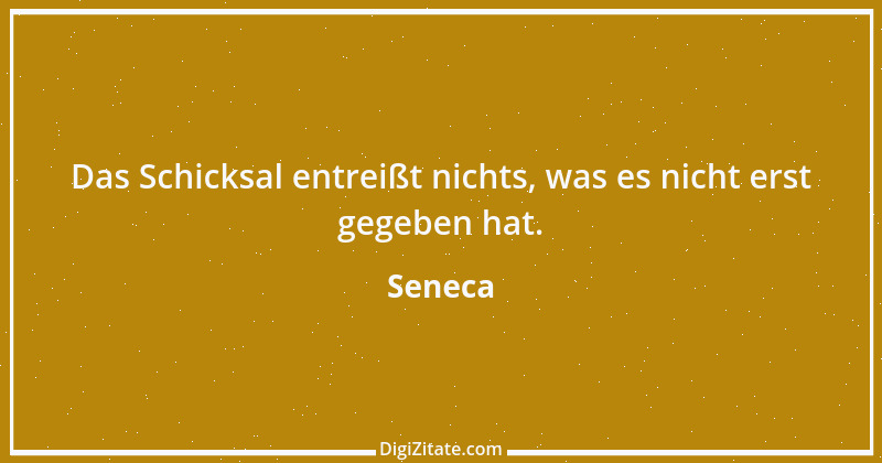 Zitat von Seneca 401