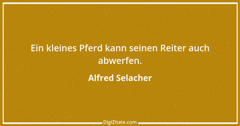 Zitat von Alfred Selacher 104