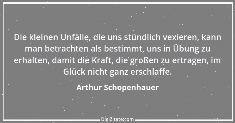 Zitat von Arthur Schopenhauer 132