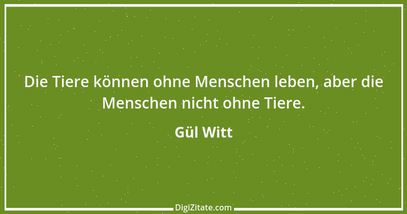 Zitat von Gül Witt 4