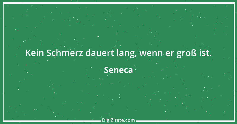 Zitat von Seneca 403