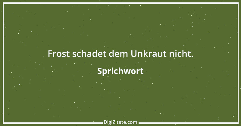 Zitat von Sprichwort 9263