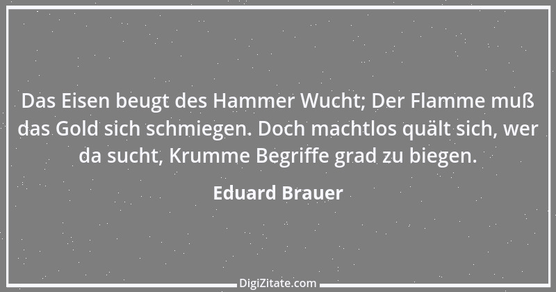 Zitat von Eduard Brauer 1