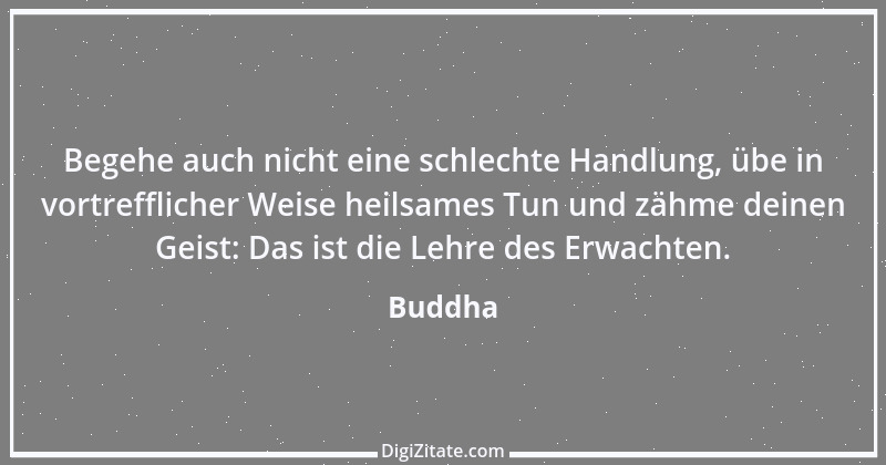 Zitat von Buddha 50