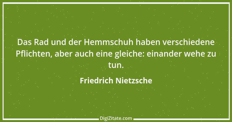 Zitat von Friedrich Nietzsche 1210