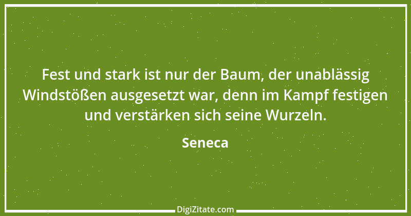 Zitat von Seneca 411