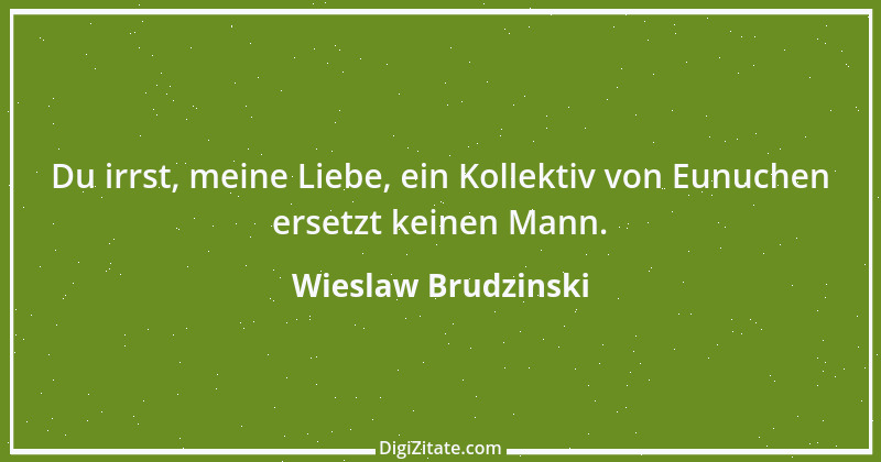 Zitat von Wieslaw Brudzinski 68