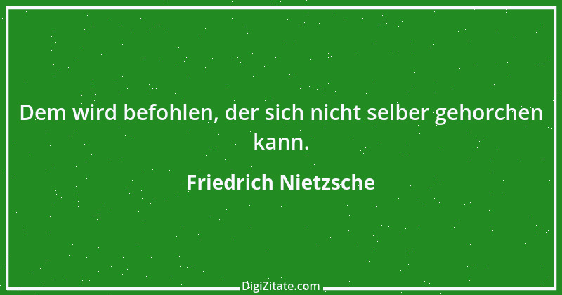 Zitat von Friedrich Nietzsche 718