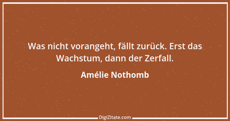 Zitat von Amélie Nothomb 4