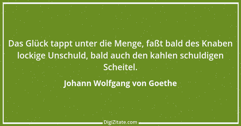 Zitat von Johann Wolfgang von Goethe 2276