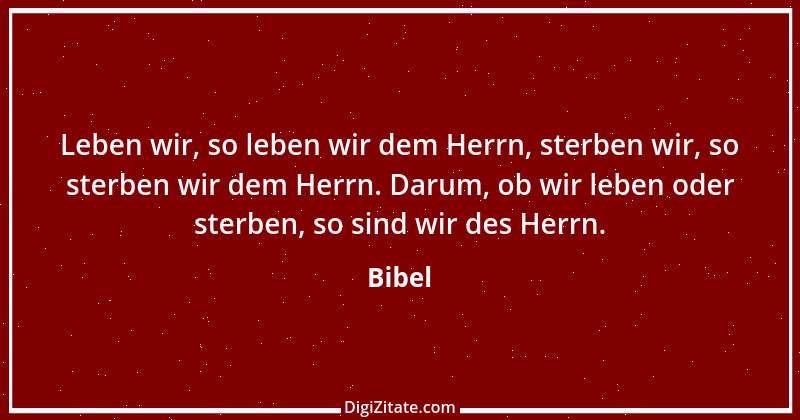 Zitat von Bibel 312