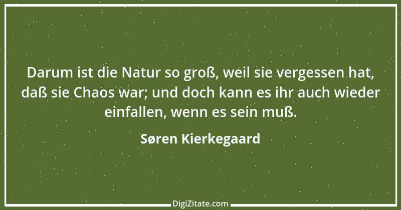 Zitat von Søren Kierkegaard 21