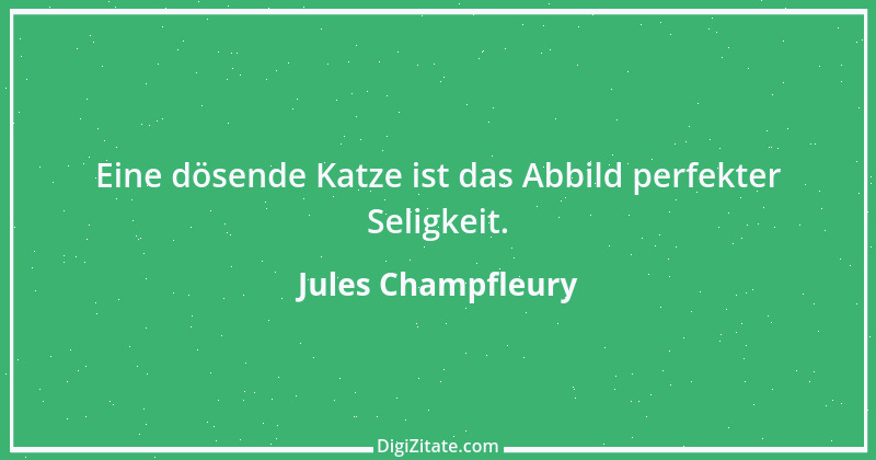 Zitat von Jules Champfleury 2