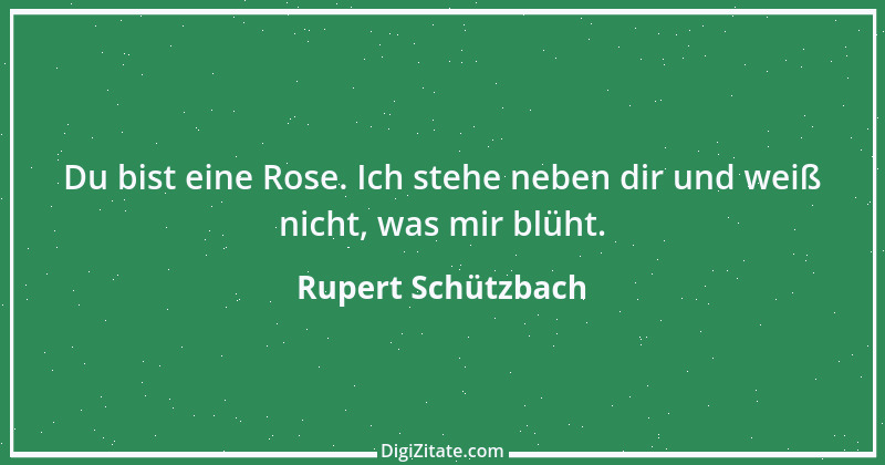 Zitat von Rupert Schützbach 183