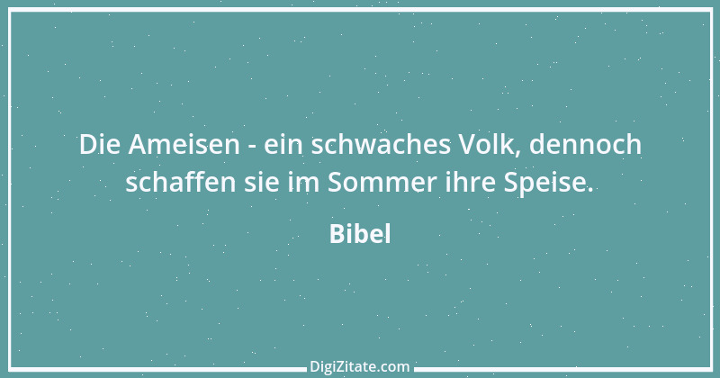 Zitat von Bibel 2316