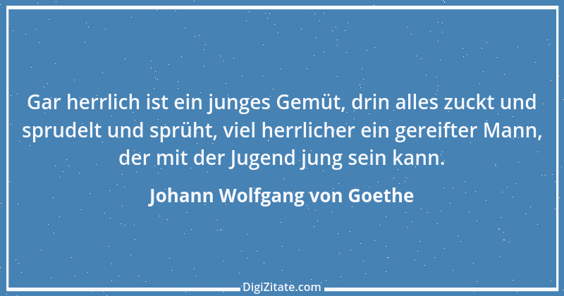 Zitat von Johann Wolfgang von Goethe 3281