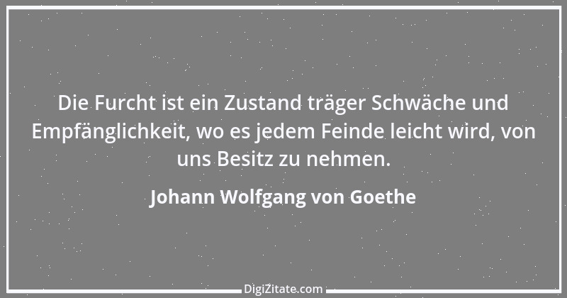 Zitat von Johann Wolfgang von Goethe 1282