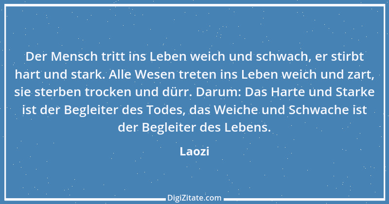 Zitat von Laozi 9