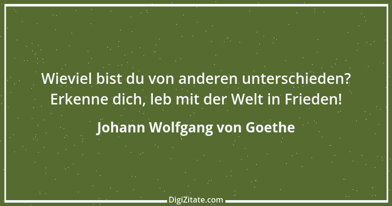 Zitat von Johann Wolfgang von Goethe 1284